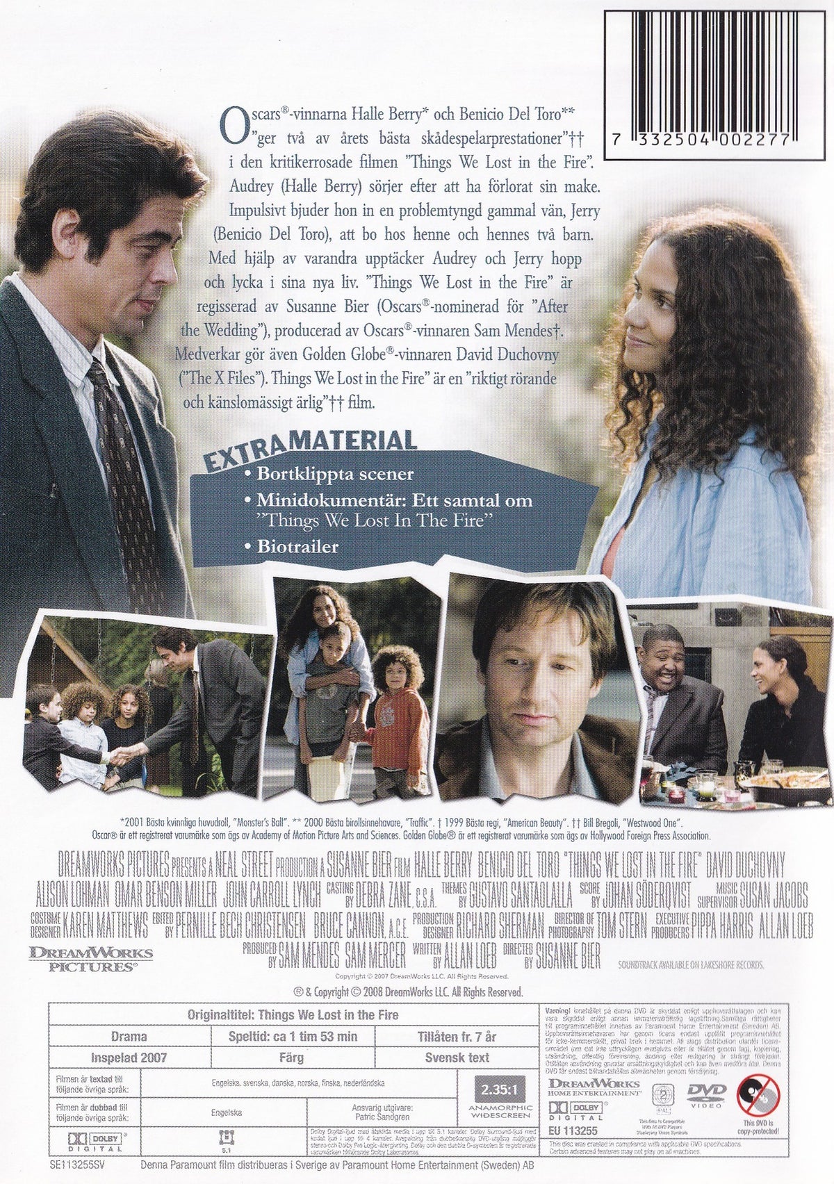 Things We Lost in the Fire (2007) DVD