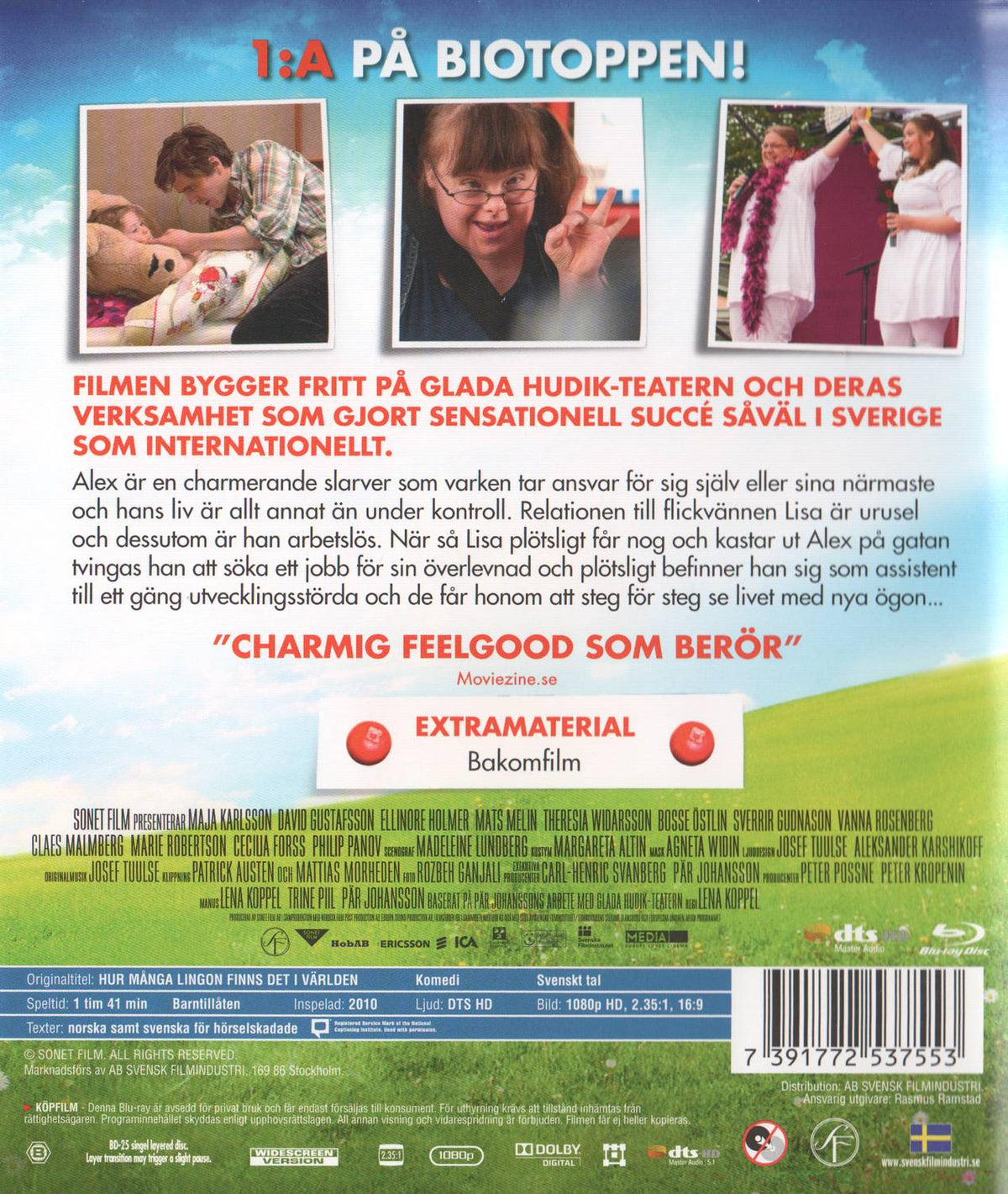Hur Många Lingon Finns Det I Världen (2010) DVD