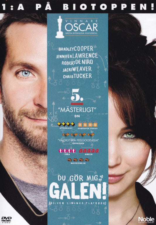 Silver Linings Playbook (2012) DVD