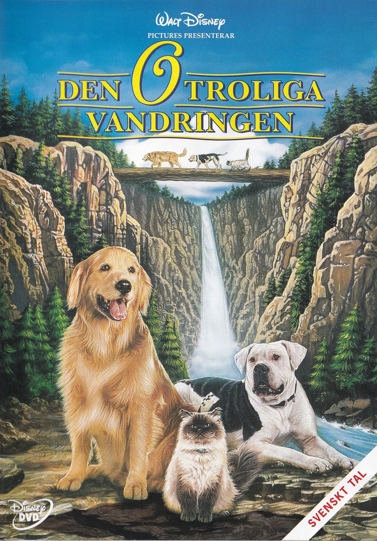 Homeward Bound The Incredible Journey (1993) DVD