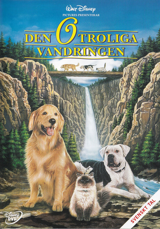 Homeward Bound The Incredible Journey (1993) DVD
