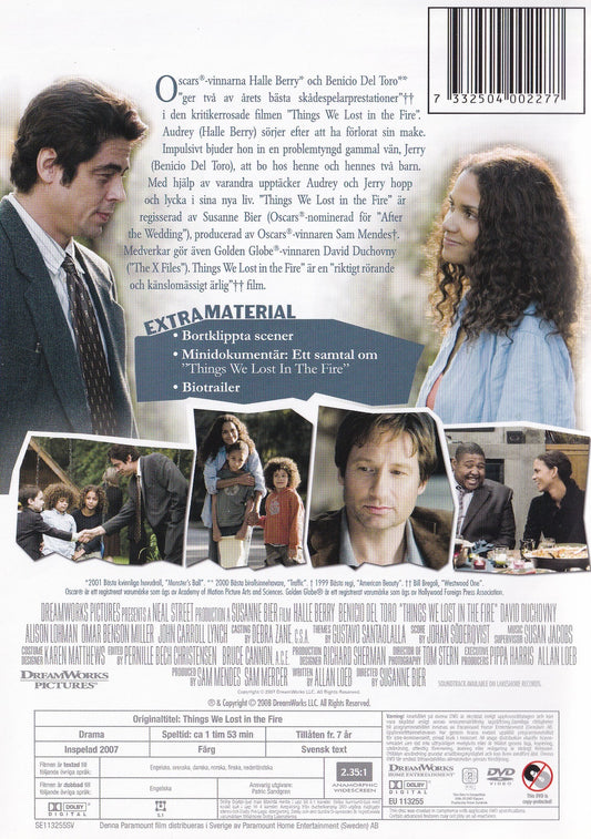 Things We Lost in the Fire (2007) DVD