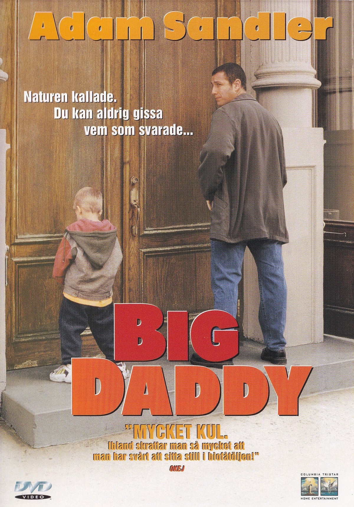 Big Daddy (1999) DVD