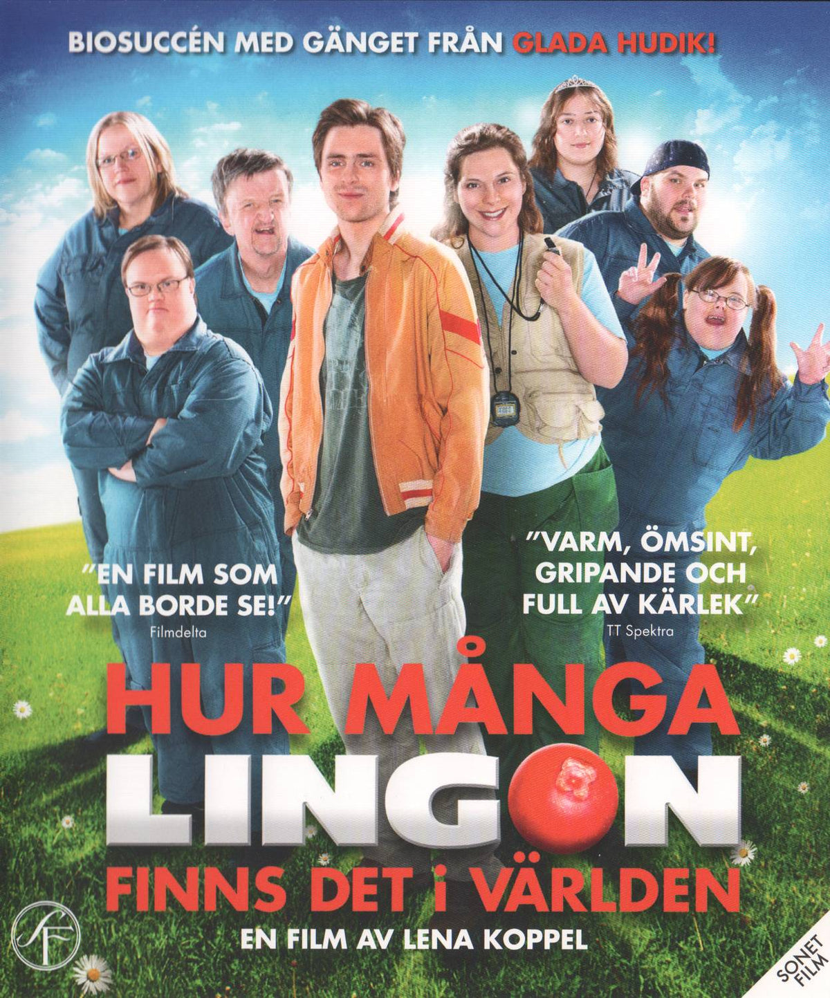 Hur Många Lingon Finns Det I Världen (2010) DVD