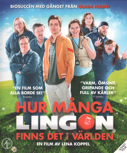 Hur Många Lingon Finns Det I Världen (2010) DVD