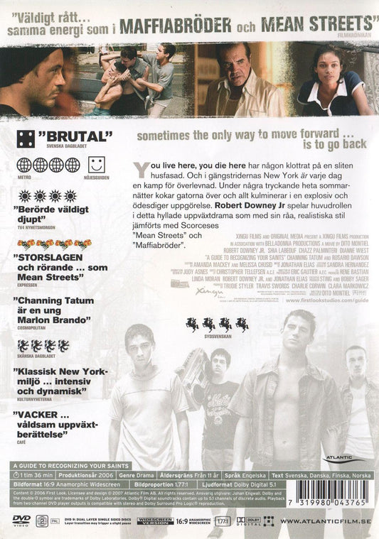A Guide to Recognizing Your Saints (2006) DVD