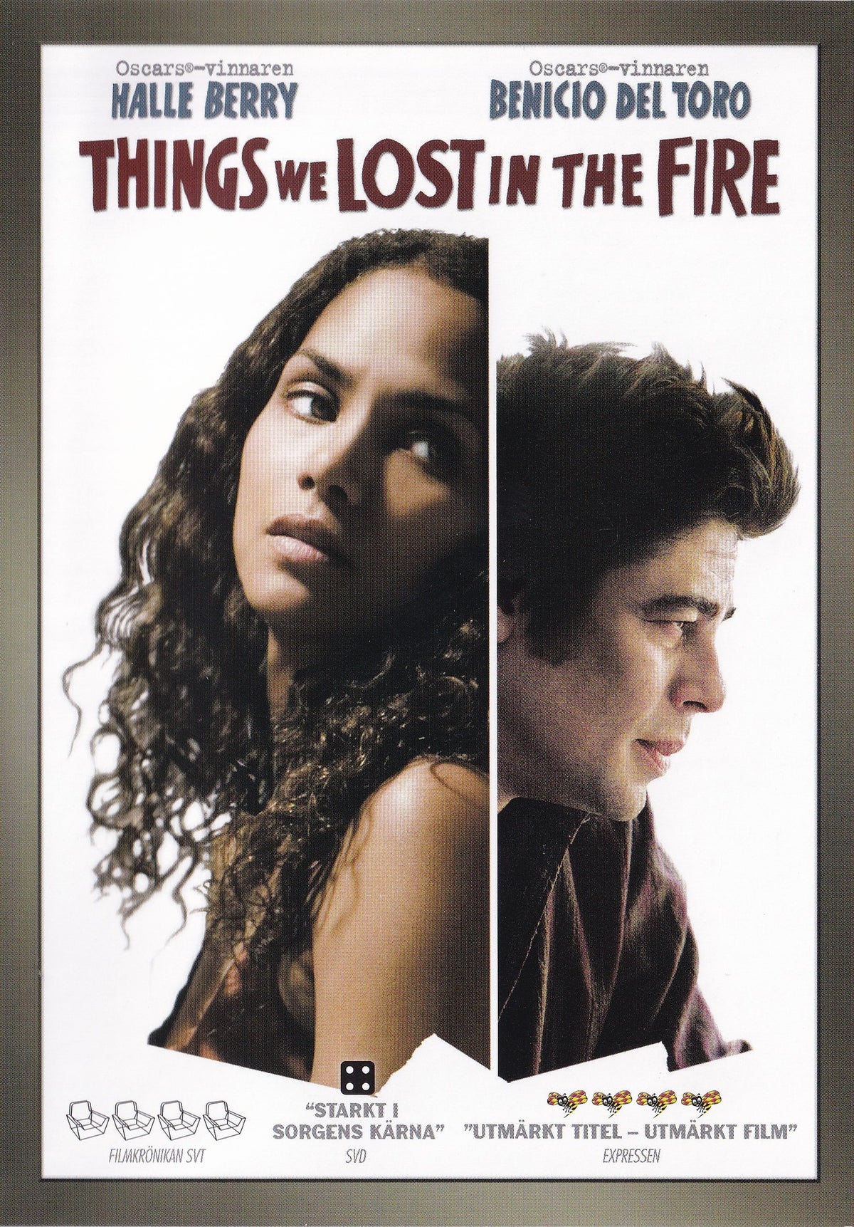 Things We Lost in the Fire (2007) DVD