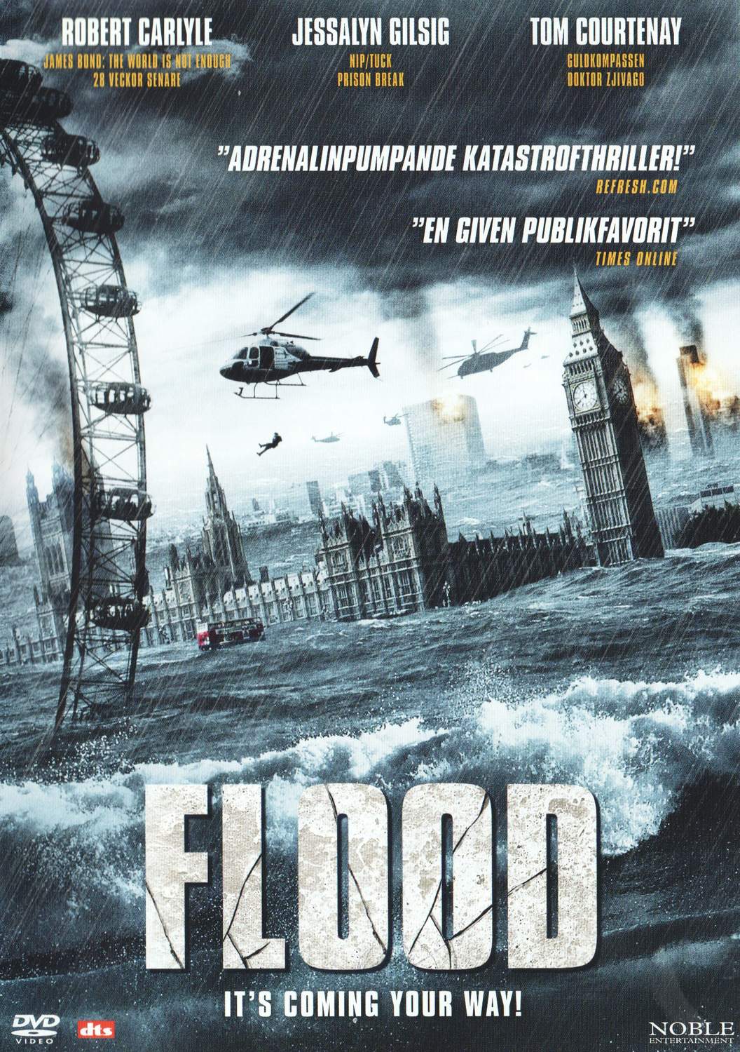 Flood (2006) DVD