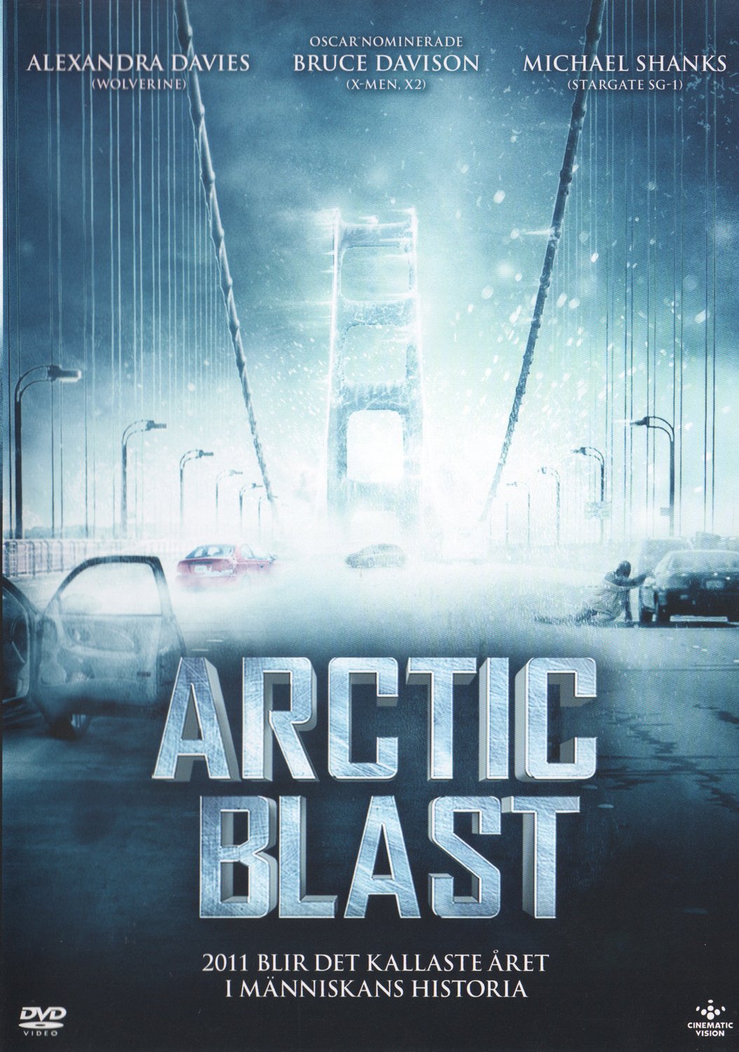 Arctic Blast (2010) DVD